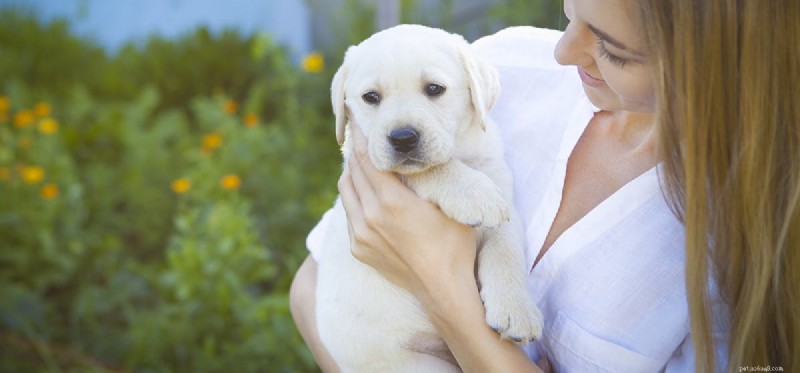How Dogs Detect Your Sadness: A Proven Guide