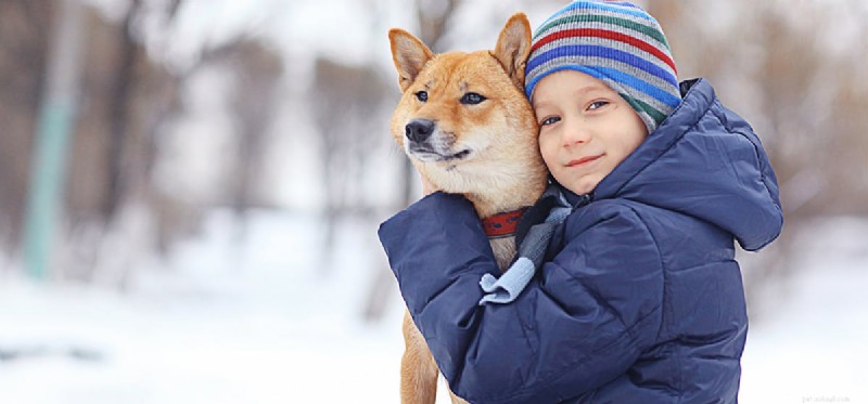 Do Dogs Truly Grasp Human Gestures? A Scientific Look