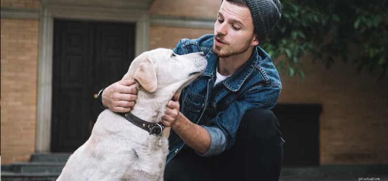 Do Dogs Truly Comprehend Human Barking? Insights for Pet Owners