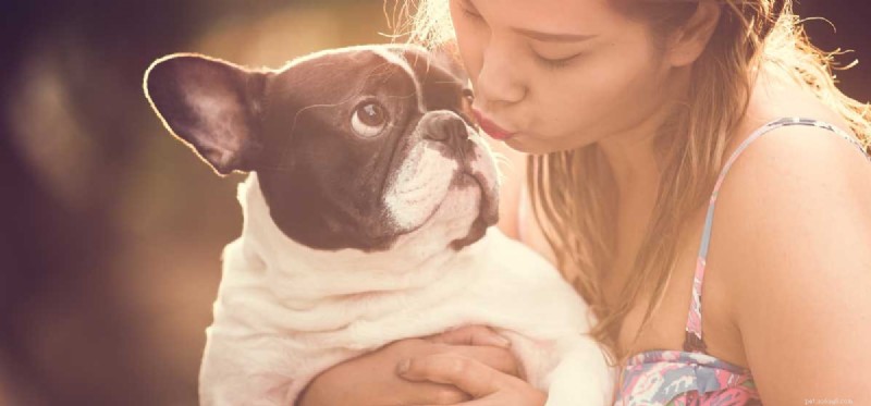 Do Dogs Truly Understand Our Emotions? Exploring the Science Behind Their Insight