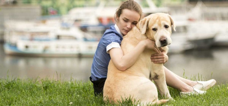 Do Dogs Truly Understand Our Emotions? Exploring the Science Behind Their Insight