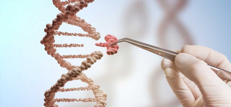 Can Dogs Be Cloned? A Scientific and Ethical Overview