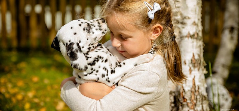 Can Dogs Hear Their Own Tummy Gurgles? A Trusted Guide for Pet Owners