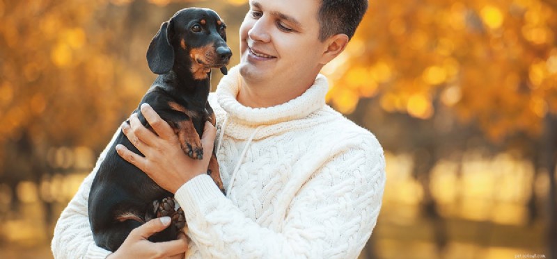 Can Your Dog Mimic Human Actions? Exploring Canine Imitation and Training