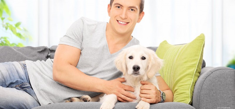 Can Your Dog Mimic Human Actions? Exploring Canine Imitation and Training