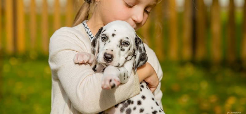 How Dogs Discern Happy vs. Angry Human Facial Expressions