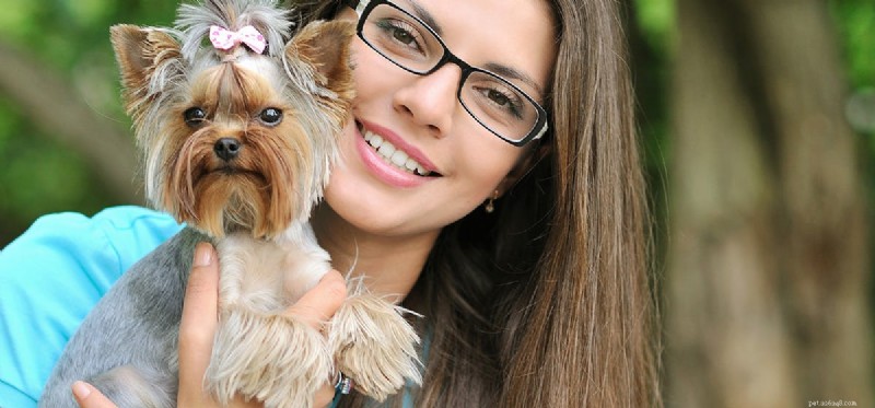 Can Your Dog Detect Your True Character? Insights into Canine Perception