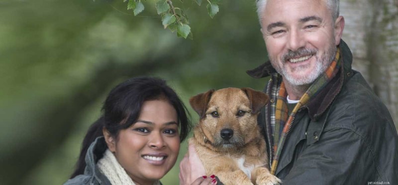 Can Your Dog Truly Understand Multiple Languages? Learn How