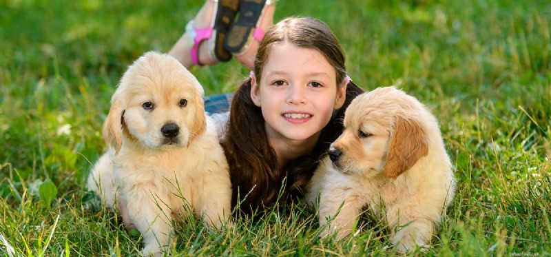 Is Your Dog Dominant? Learn to Spot the Signs and Manage Their Behavior