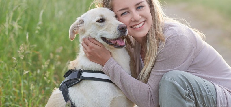 How Dogs Perceive You: The Science Behind Their Intuitive Bond