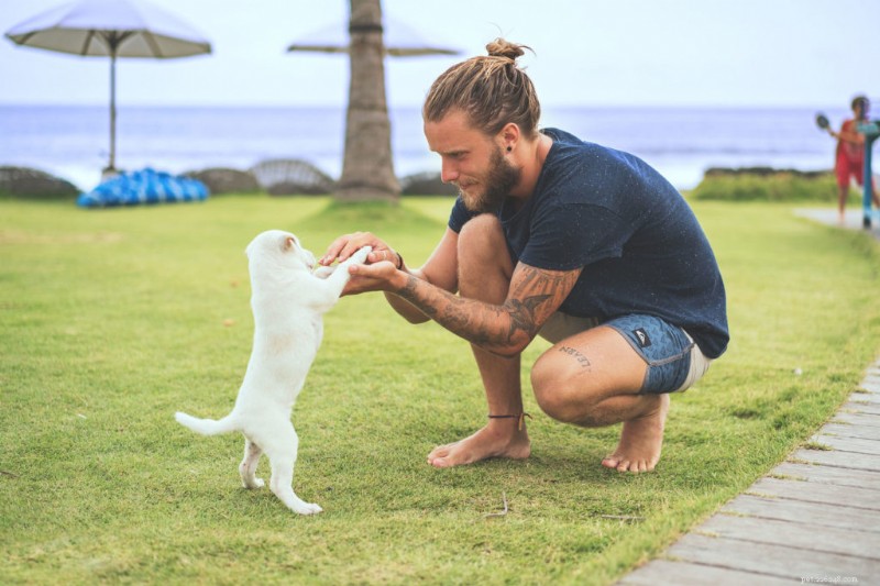 Human Training 101: Part IV – Get Your Home Ready for a New Puppy