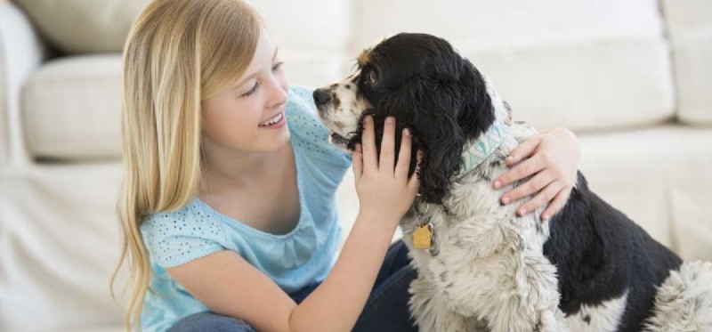 Do Dogs Recognize Human Smiles? Uncovering the Truth About Canine Emotional Perception