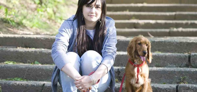 Can Dogs Effectively Protect Your Home?
