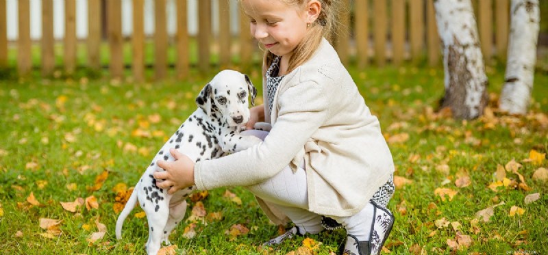Can Fleas Kill Your Dog? Understanding the Risks and Prevention
