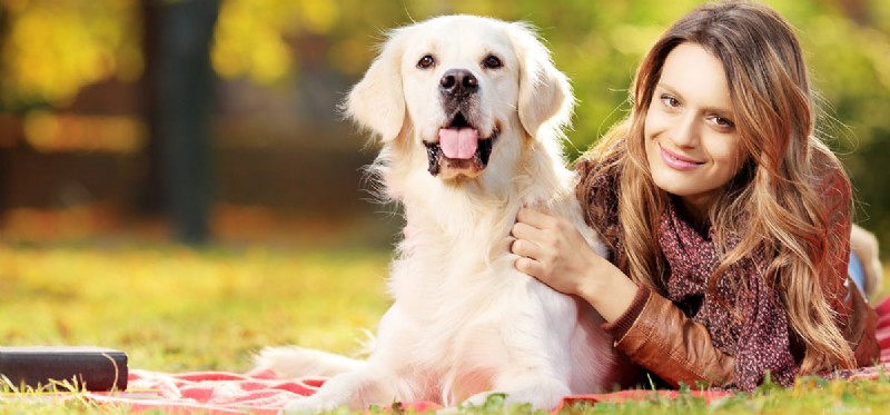 Do Dogs Fake Pregnancy? Understanding Pseudocyesis in Female Dogs