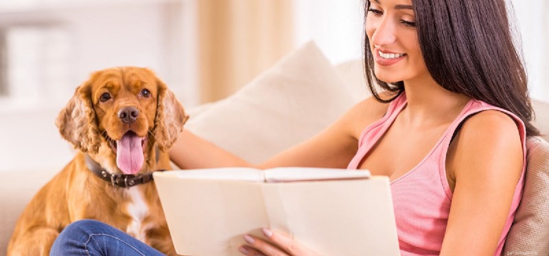 Do Dogs Fake Pregnancy? Understanding Pseudocyesis in Female Dogs
