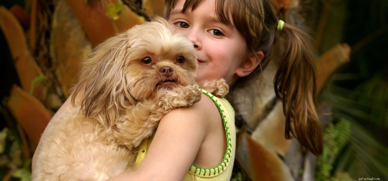 Do Dogs Pretend to Be Excited? Understanding Canine Anticipation