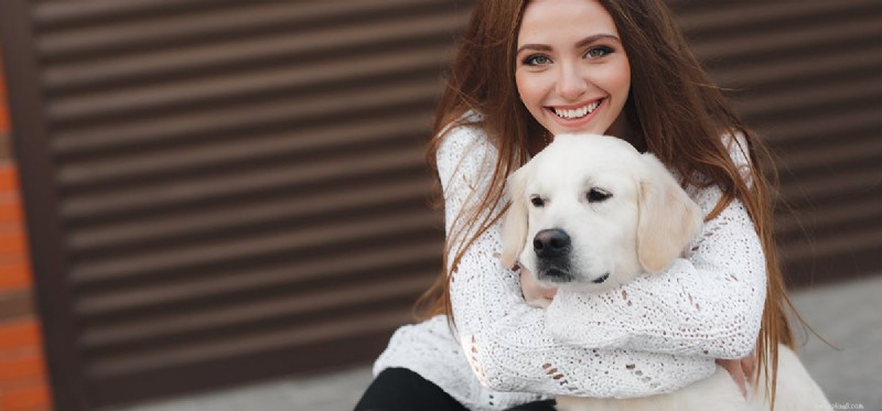 Do Dogs Truly Show Interest or Just Pretend?