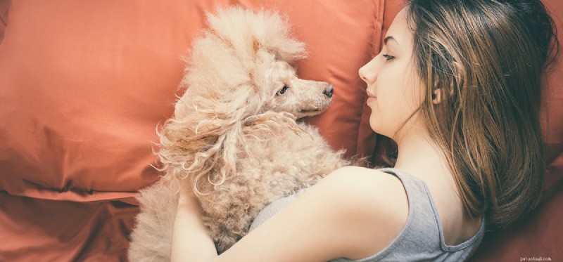 Do Dogs Really Fake Illnesses? Understanding Their Behavior