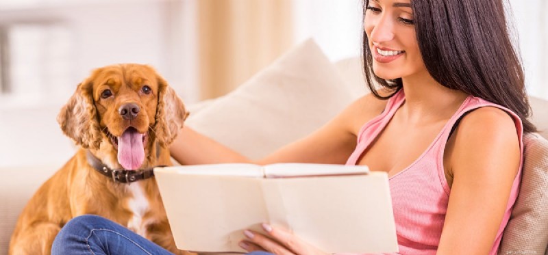 Do Dogs Experience Phantom Pregnancies? What You Need to Know