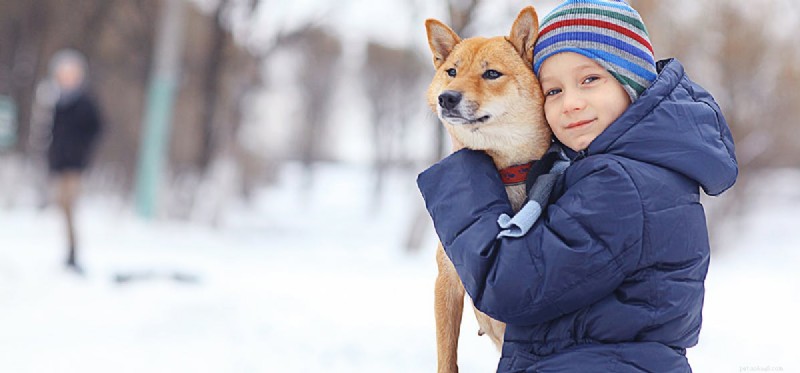 Can Dogs Truly Shiver, or Is It a Faked Response?