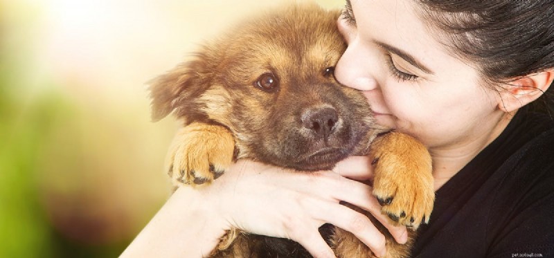 Do Dogs Truly Feel Acceptance?
