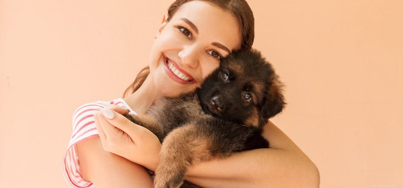 Do Dogs Truly Feel Acceptance?