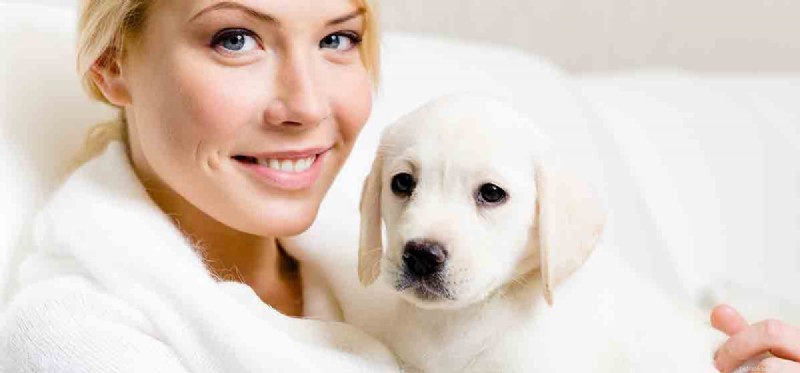 Do Dogs Experience Admiration? Exploring Their Emotional Insight