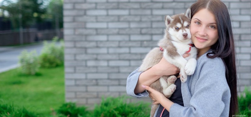 Can Dogs Truly Experience Care? Insights into Their Emotional World