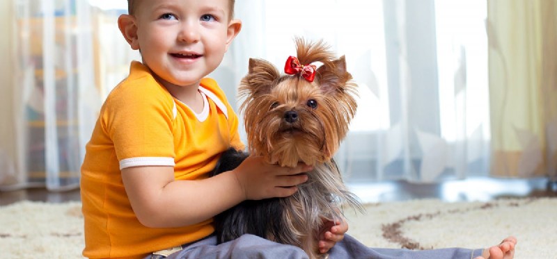 Do Dogs Experience Emotional Closeness?