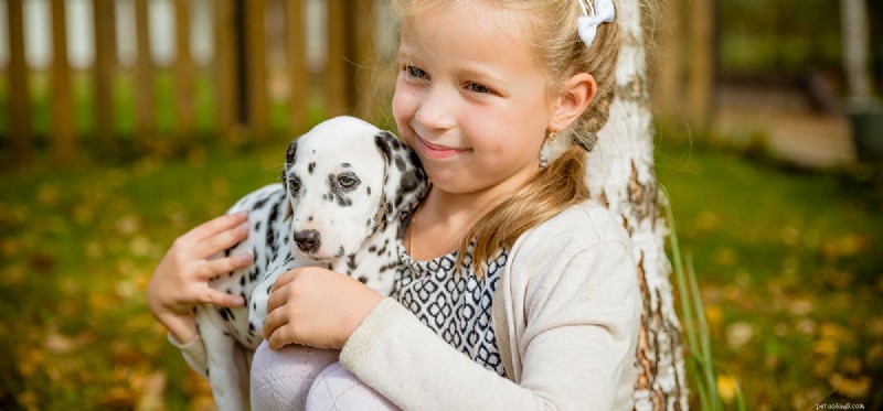 Do Dogs Experience Emotional Closeness?