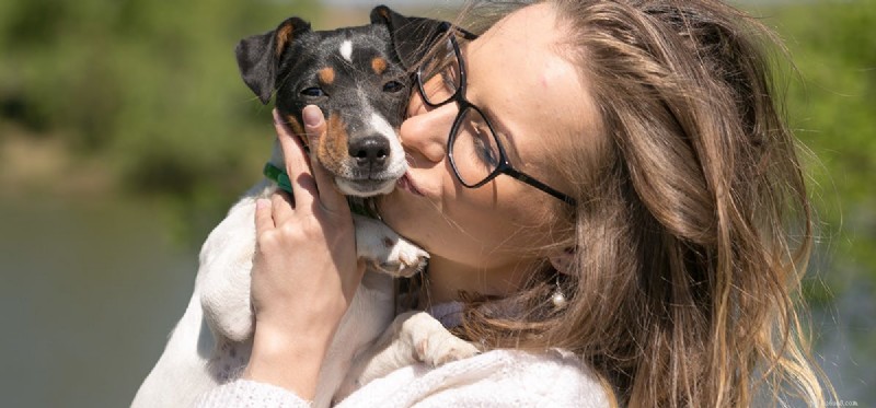 Do Dogs Experience Confusion? Understanding Their Emotional Landscape