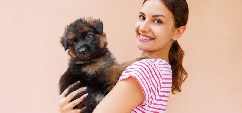 Do Dogs Truly Experience Gratitude?
