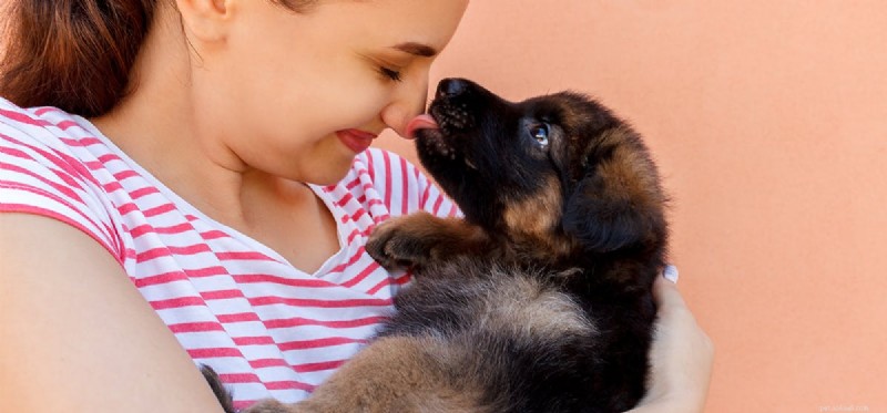 Do Dogs Truly Experience Gratitude?