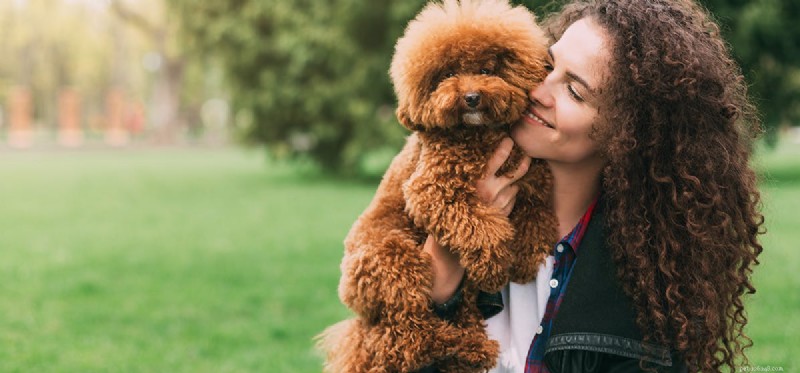 Do Dogs Truly Understand Human Kisses? Exploring Their Emotional Response