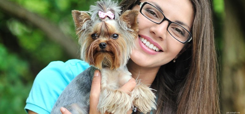 Can Dogs Sense Intolerance? Exploring Animal Awareness of Bias