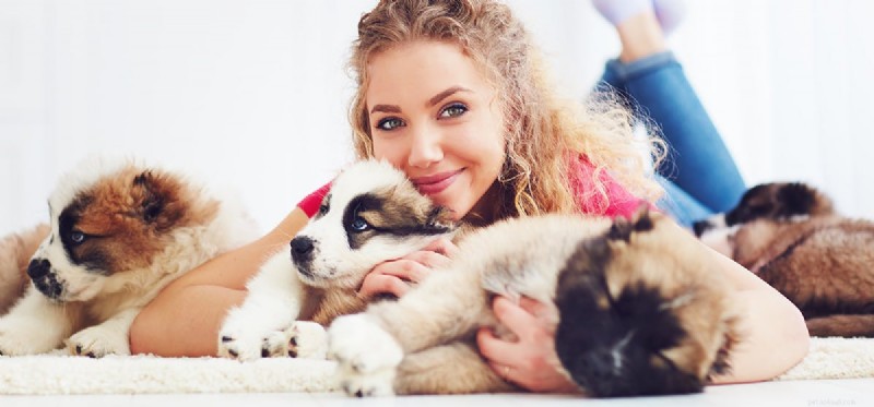 Can Dogs Sense Intolerance? Exploring Animal Awareness of Bias