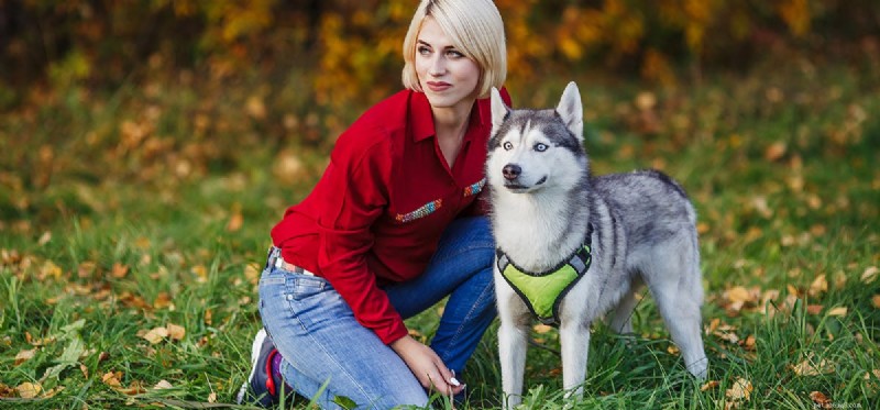 Can Dogs Sense Intolerance? Exploring Animal Awareness of Bias