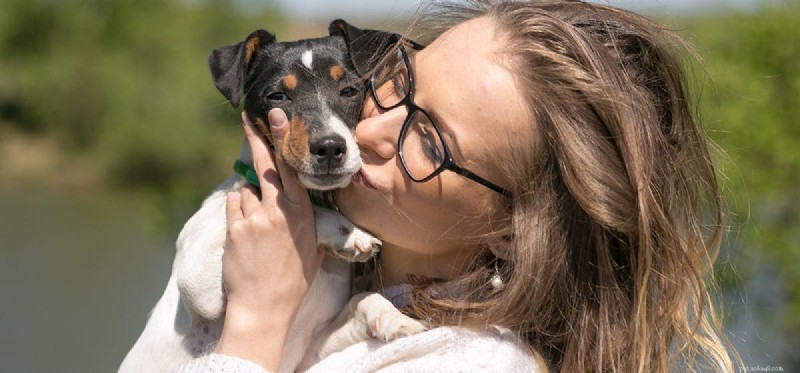 Can Dogs Sense Intolerance? Exploring Animal Awareness of Bias