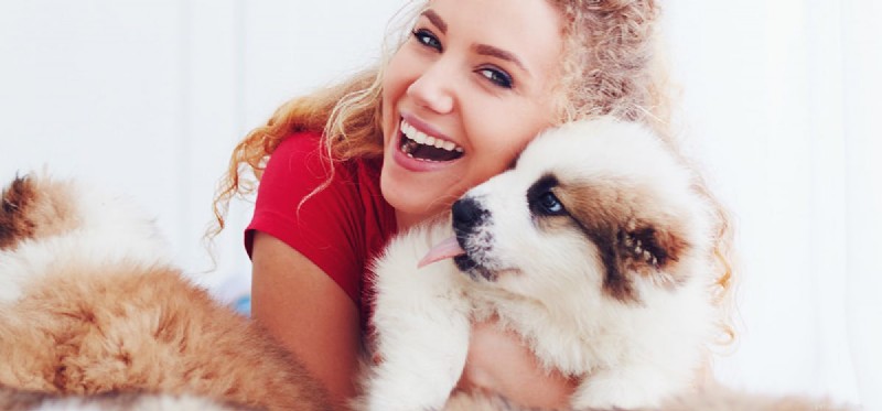 Do Dogs Feel Replaced? Understanding Canine Jealousy