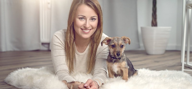 Do Dogs Feel Replaced? Understanding Canine Jealousy