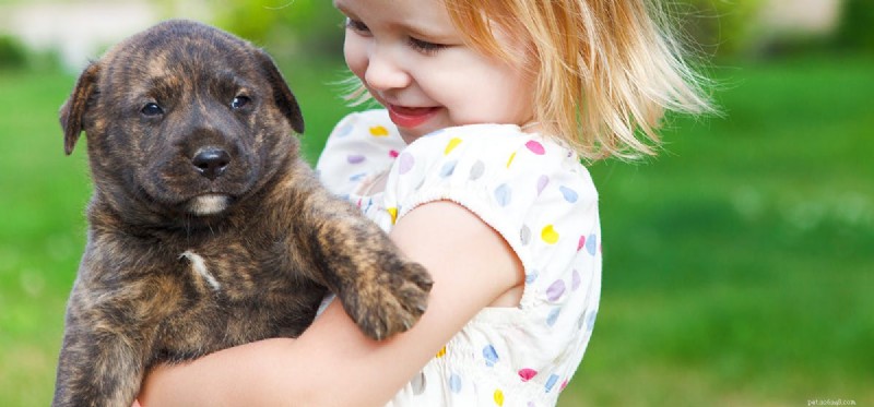 Do Dogs Detect Barometric Pressure Changes?