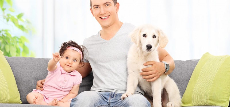 Do Dogs Experience Love? Understanding Their Emotional Connection