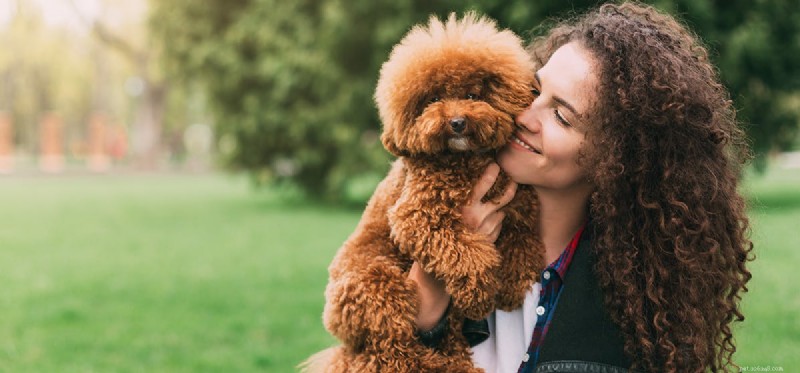 Do Dogs Truly Love You? Understanding Their Emotional Connection