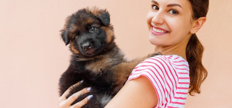 Do Dogs Truly Love You? Understanding Their Emotional Connection