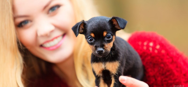 Do Dogs Truly Love You? Understanding Their Emotional Connection