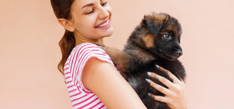 Do Dogs Truly Forget Their Owners? Insights into Canine Memory and Attachment