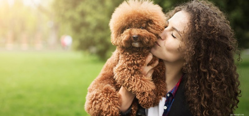 Can Dogs Detect a Baby Inside the Womb? Insights into Canine Hearing