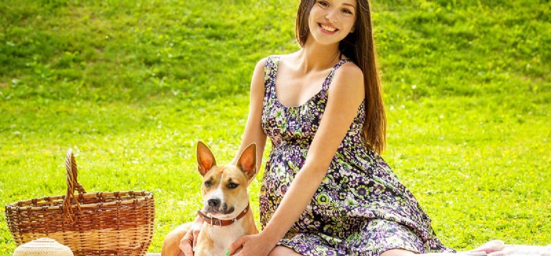 Do Dogs Detect a Baby Growing Inside Their Owner’s Womb?