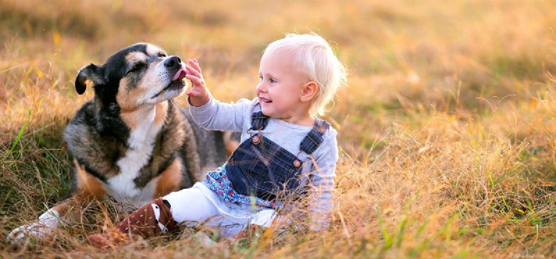 Can Dogs Detect a Growing Fetus? Science‑Backed Insights into Canine Hearing